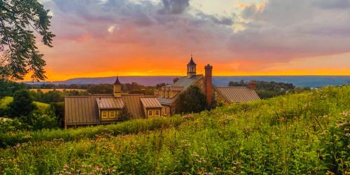 Laurel Spring Cidery