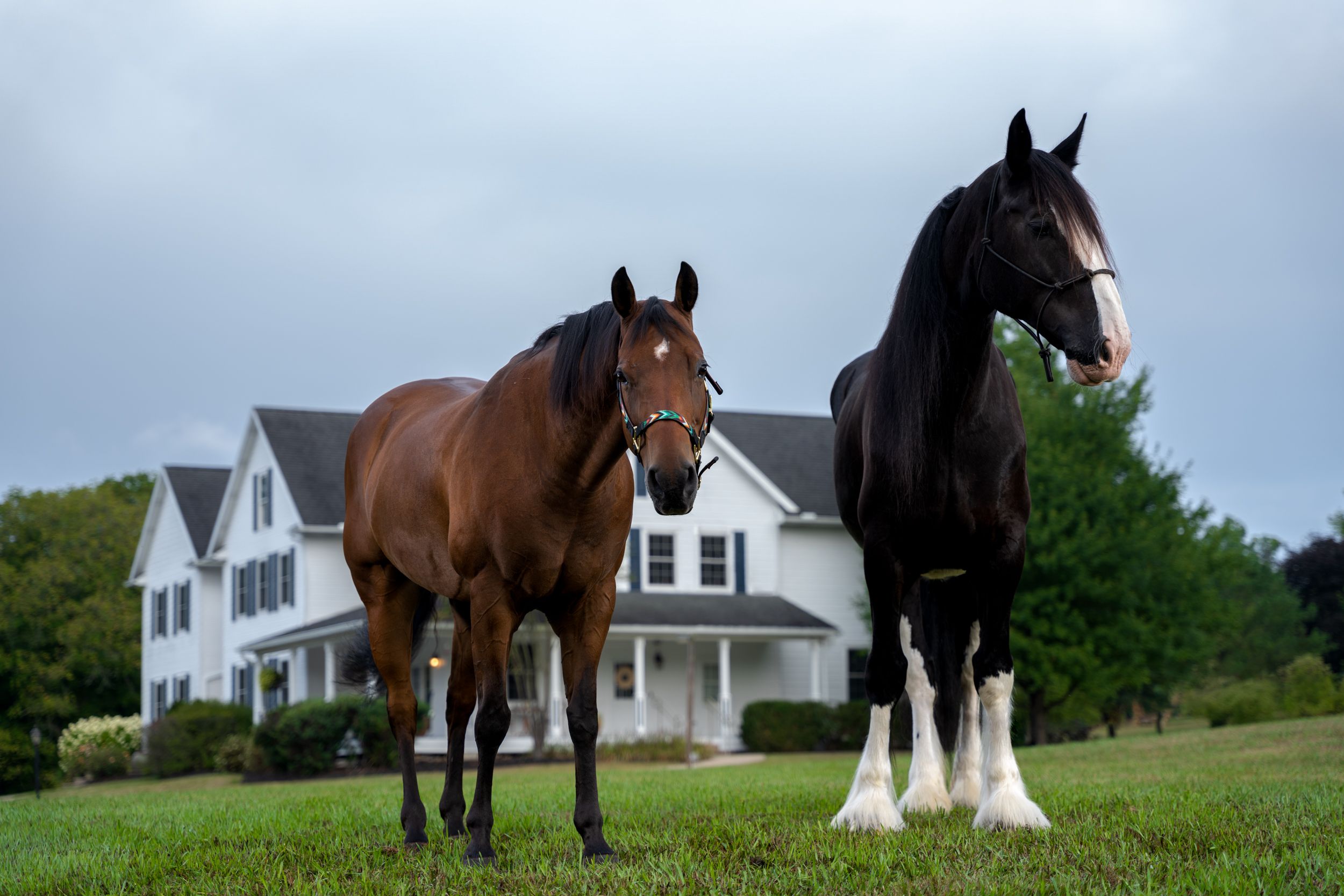 Hours + Location, The Pony Inn