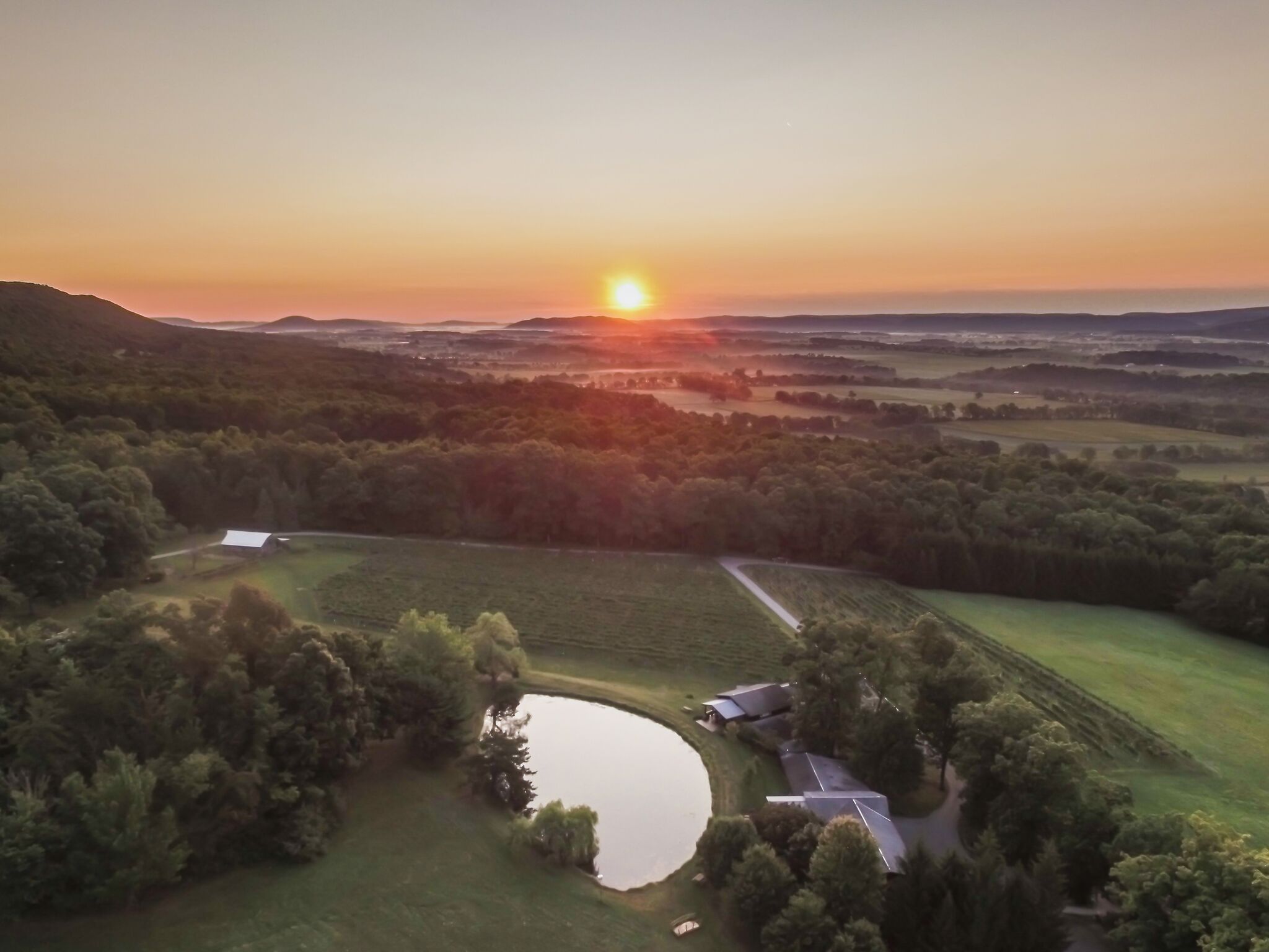 Outgoing Wine Flights - Catch Yours! - Mount Nittany Vineyard & Winery