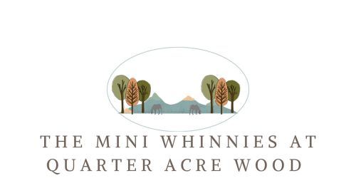 The Mini Whinnies at Quarter Acre Wood