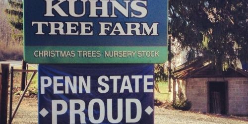Kuhns Tree Farm