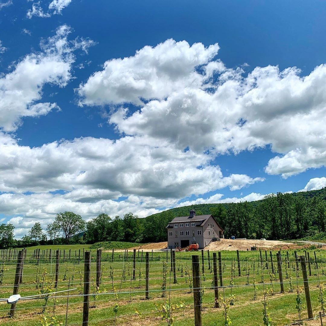 A family owned Pennsylvania winery, Central PA Tasting Trail and #HVAgventures destination University Wine Co. loves producing fun, unique, high quality wines for you to share with your family and friends 