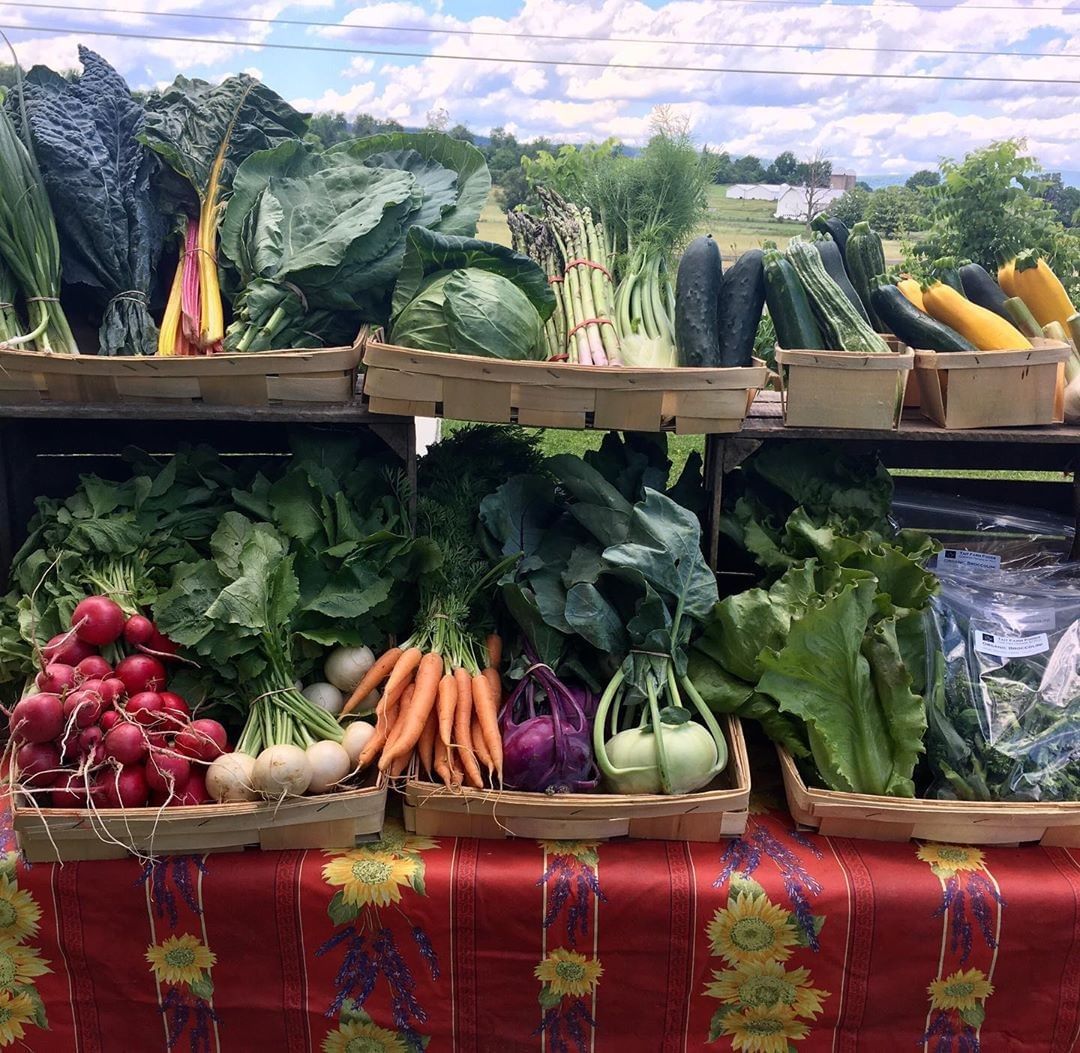 How your food is grown or raised can have a major impact on your mental and emotional health as well as the environment. Organic foods often have more beneficial nutrients, such as antioxidants. #HVAgventures destination Tait Farm Foods has you covered!⁣
