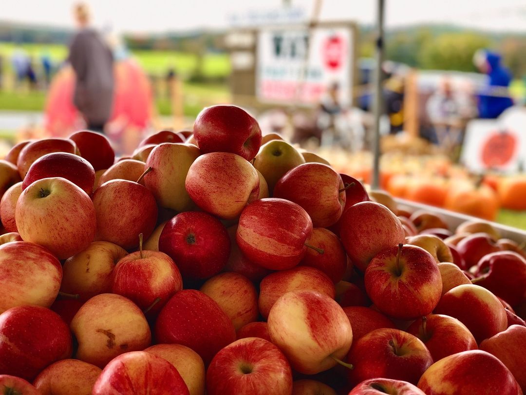 “Happy Valley’s agricultural assets present wonderful tourism opportunities for local residents and visitors, bringing customers into our farm stores to shop for locally grown and produced products, and visit our unique attractions." -@happyvalleypa Presi