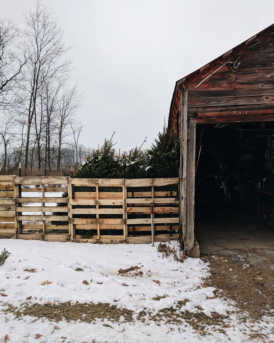 Centre County is home to more than one thousand farms and an agricultural history that dates back to the earliest days of Pennsylvania. It’s a history of hard work, a passion for growing things, and a love of the land and all things that come from it.
#H
