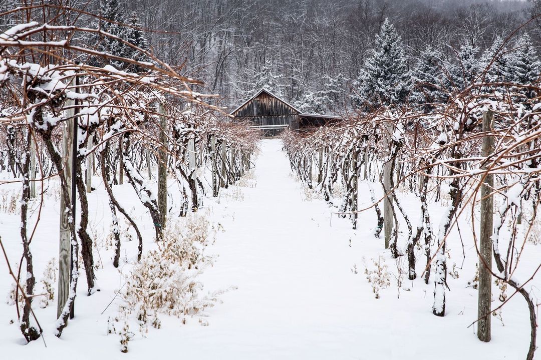 Just six miles from State College and Penn State University, @mountnittanywinery is a family farm winery located above the historic village of Linden Hall.
˙
At this #HVAgventures and @centralpatastingtrail destination, you’ll find a fun and informative w
