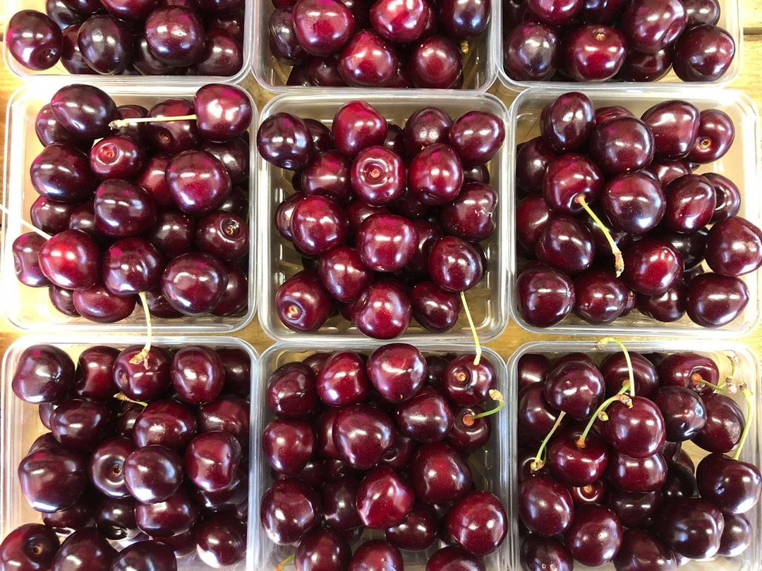 Head over to the @boalsburg_farmers_market on June 29 from 2-6 p.m. at the @pamilitarymuseum.
˙
Find Sweet Cherries from K. Schlegel Fruit Farm 