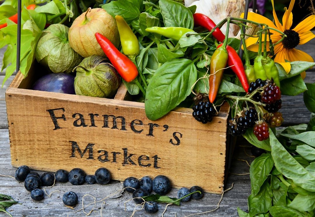 Looking for a farmer's market to visit this weekend? Here are some farmer's markets in Happy Valley you should absolutely visit:
˙
