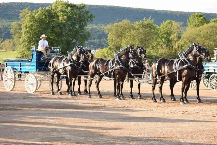 The Grange Fair is a mainstay of the Central Pennsylvania agricultural community, and has been held the last week of August since 1874. However, The Equine Center at Grange Park hosts equestrian and related events throughout the year. 