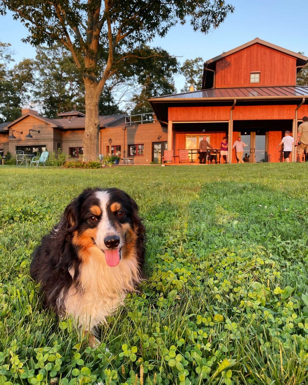 #HVAgventures destination @re_farm_cafe is REdefining the meaning of local foods while embracing regenerative thinking and organic practices.
RE Farm Cafe offers an innovative opportunity to learn, participate, and experience true, realistic sustainable 