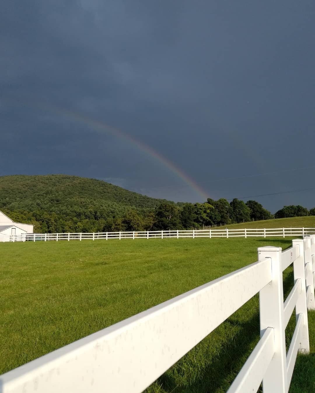 Explore key aspects of #HappyValleyPA's agricultural roots. The heritage here has developed amazing farm markets and farm stands; a thriving craft beverage scene; plentiful farm to fork dining options; opportunities to get up close with native wildlife an