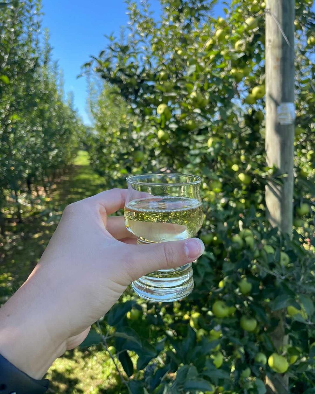 @jlfarmandcidery is more than just another cider maker to add to the list. It’s an experience, rooted in decades of passion to take what is grown on the family farm and share it with others.
No matter what your favorite cider is, they have something tha