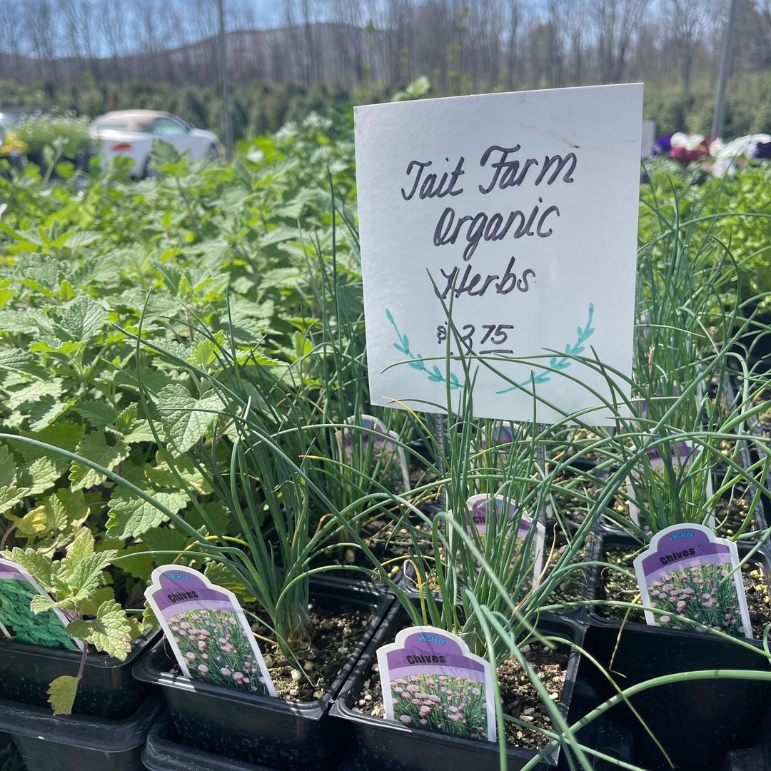 Tait Farm is a family-owned farm located seven miles east of State College. It is a year-round shopping destination showcasing the seasons in beautiful central Pennsylvania.
The Tait Farm seasonal greenhouse is an ideal stop for the cottage and kitchen g