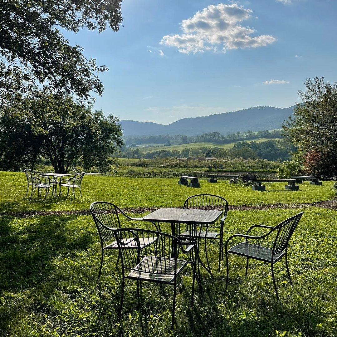 At @re_farm_cafe, you can truly see their farm from your table. You can also enjoy farm-fresh tastes, live music and specialty drinks while laughing and connecting with others. 