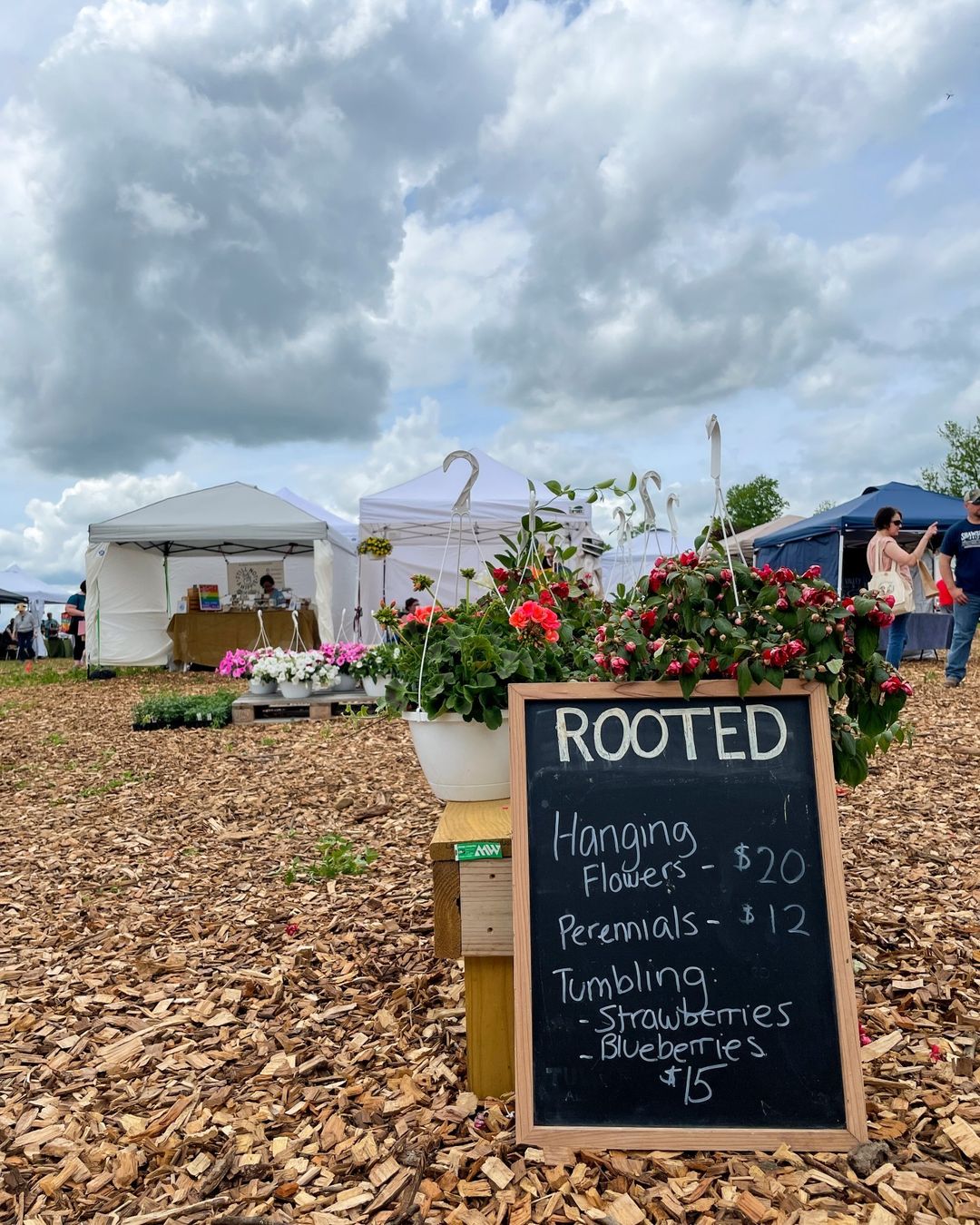 On Saturday, May 14, @rootedfarmstead celebrated their grand opening with us! ✨
Now you can enjoy their pick-your-own flower events at their new location, 138 Scotts Ave., in Bellefonte, Pa. 