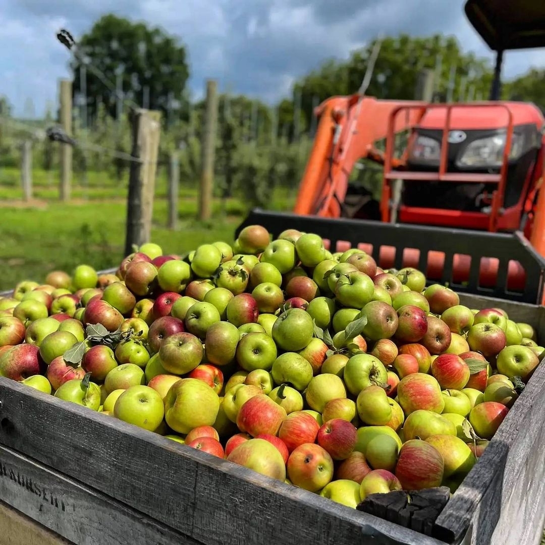 @jlfarmandcidery is more than just another cider maker to add to the list. It’s an experience, rooted in decades of passion to take what is grown on their family farm and share it. ⠀
⠀
Making cider is an art form from the moment they plant a new apple tre